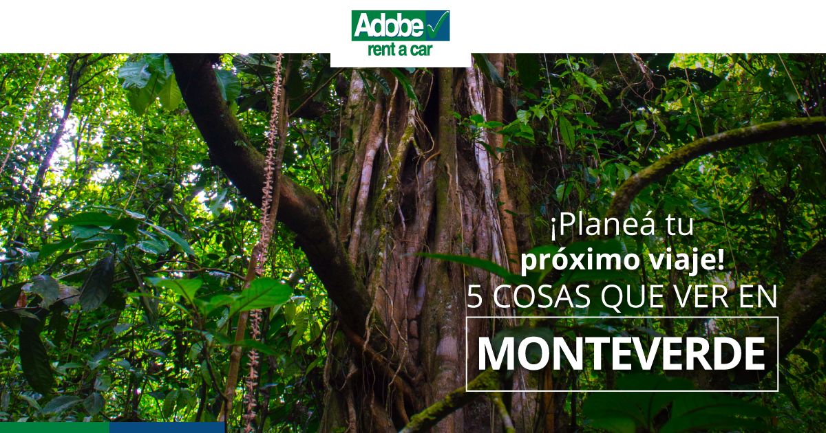 ? TOP 5 cosas que ver en Monteverde Adobe Rent a Car